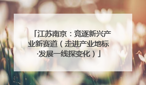 江苏南京：竞逐新兴产业新赛道（走进产业地标·发展一线探变化）