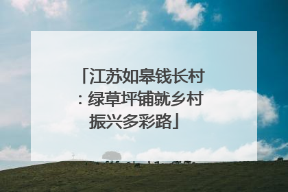 江苏如皋钱长村：绿草坪铺就乡村振兴多彩路