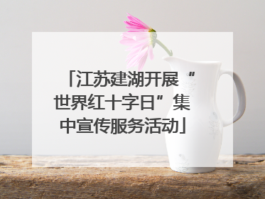 江苏建湖开展“世界红十字日”集中宣传服务活动