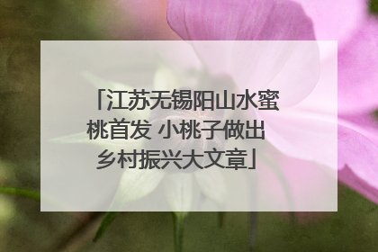 江苏无锡阳山水蜜桃首发 小桃子做出乡村振兴大文章