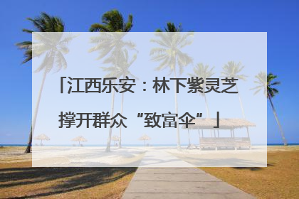 江西乐安：林下紫灵芝撑开群众“致富伞”