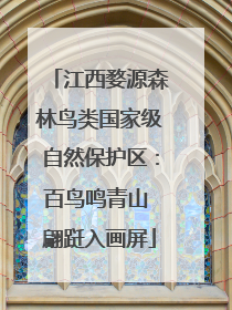 江西婺源森林鸟类国家级自然保护区：百鸟鸣青山 翩跹入画屏