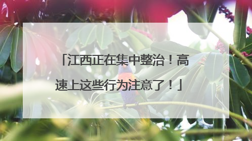 江西正在集中整治！高速上这些行为注意了！