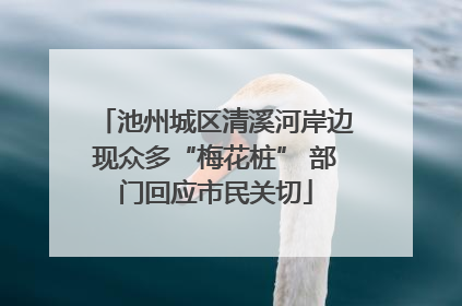池州城区清溪河岸边现众多“梅花桩” 部门回应市民关切