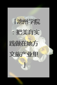 池州学院：把美育实践做在地方文旅产业里