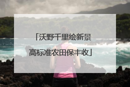 沃野千里绘新景 高标准农田保丰收