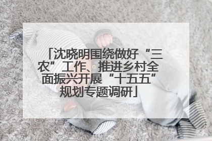 沈晓明围绕做好“三农”工作、推进乡村全面振兴开展“十五五”规划专题调研