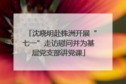 沈晓明赴株洲开展“七一”走访慰问并为基层党支部讲党课