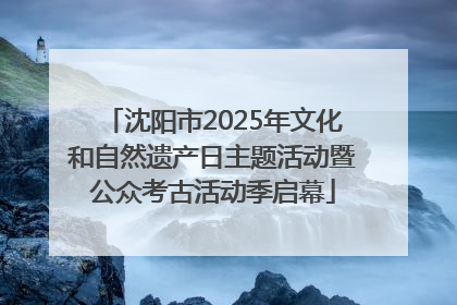沈阳市2025年文化和自然遗产日主题活动暨公众考古活动季启幕