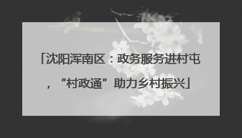 沈阳浑南区：政务服务进村屯，“村政通”助力乡村振兴