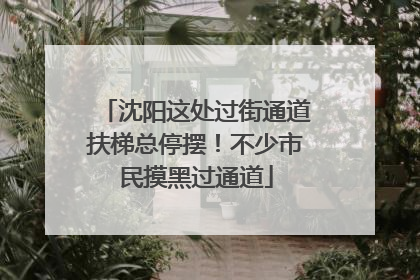 沈阳这处过街通道扶梯总停摆！不少市民摸黑过通道