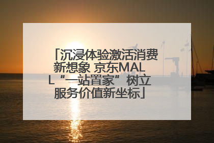 沉浸体验激活消费新想象 京东MALL“一站置家”树立服务价值新坐标