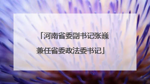 河南省委副书记张巍兼任省委政法委书记