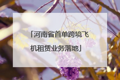 河南省首单跨境飞机租赁业务落地