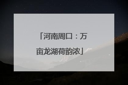 河南周口：万亩龙湖荷韵浓