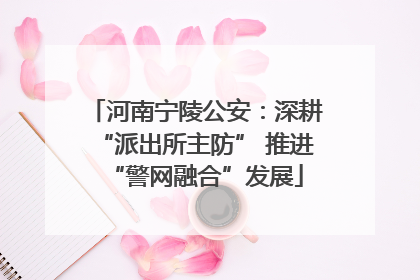 河南宁陵公安：深耕“派出所主防” 推进“警网融合”发展