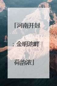 河南开封：金明池畔荷韵浓