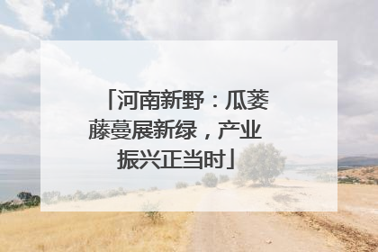 河南新野：瓜蒌藤蔓展新绿，产业振兴正当时