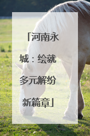 河南永城：绘就多元解纷新篇章