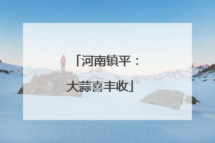 河南镇平：大蒜喜丰收