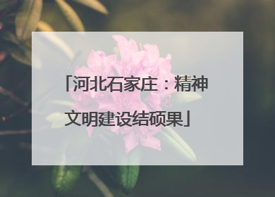 河北石家庄：精神文明建设结硕果