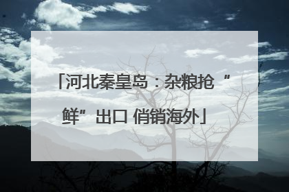河北秦皇岛：杂粮抢“鲜”出口 俏销海外