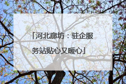 河北廊坊：驻企服务站贴心又暖心