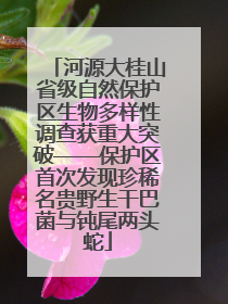 河源大桂山省级自然保护区生物多样性调查获重大突破——保护区首次发现珍稀名贵野生干巴菌与钝尾两头蛇
