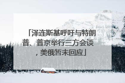 泽连斯基呼吁与特朗普、普京举行三方会谈，美俄暂未回应