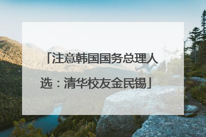 注意韩国国务总理人选：清华校友金民锡