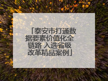 泰安市打通数据要素价值化全链路 入选省级改革精品案例