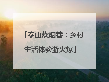 泰山炊烟巷：乡村生活体验游火爆