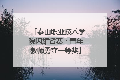 泰山职业技术学院闪耀省赛：青年教师勇夺一等奖