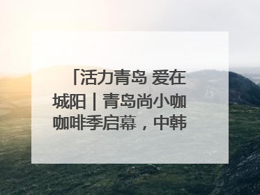活力青岛 爱在城阳｜青岛尚小咖咖啡季启幕，中韩消费新场景点燃夏日热情