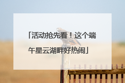活动抢先看！这个端午星云湖畔好热闹