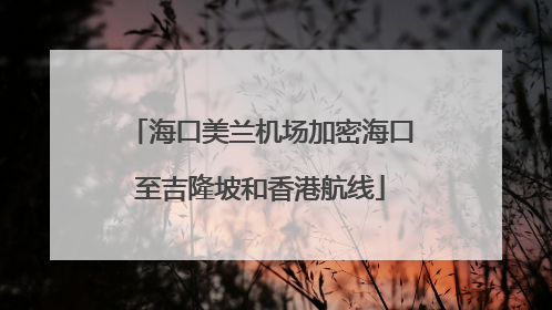 海口美兰机场加密海口至吉隆坡和香港航线