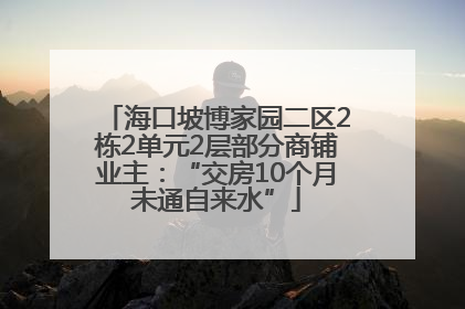海口坡博家园二区2栋2单元2层部分商铺业主：“交房10个月未通自来水”
