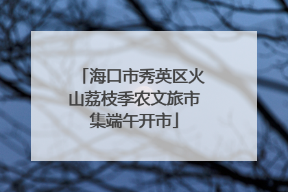 海口市秀英区火山荔枝季农文旅市集端午开市