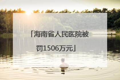 海南省人民医院被罚1506万元
