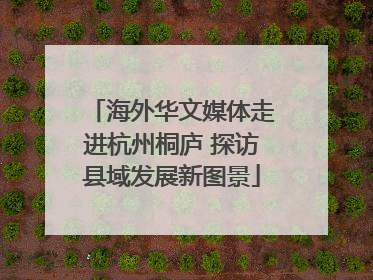 海外华文媒体走进杭州桐庐 探访县域发展新图景