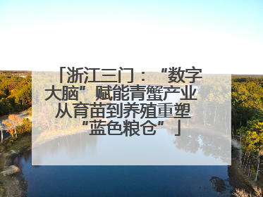 浙江三门：“数字大脑”赋能青蟹产业 从育苗到养殖重塑“蓝色粮仓”