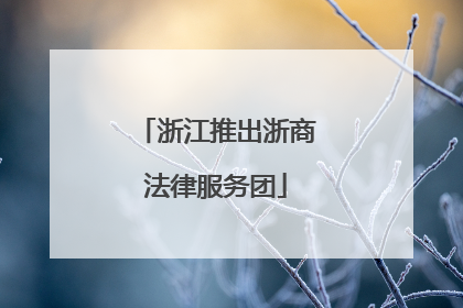 浙江推出浙商法律服务团