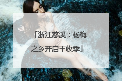 浙江慈溪：杨梅之乡开启丰收季