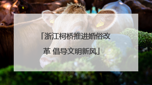 浙江柯桥推进婚俗改革 倡导文明新风