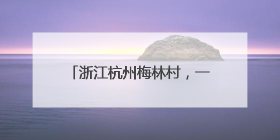 浙江杭州梅林村，一年接待游客超5万人次——梅林村，满满人气从何来（经济新方位·农村消费观察）