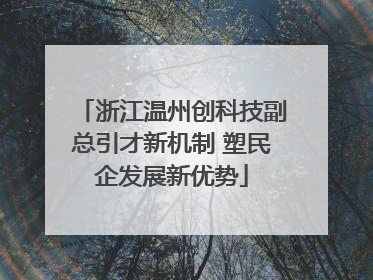 浙江温州创科技副总引才新机制 塑民企发展新优势