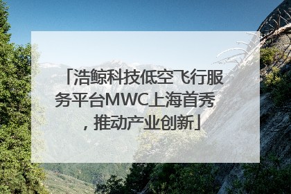 浩鲸科技低空飞行服务平台MWC上海首秀，推动产业创新