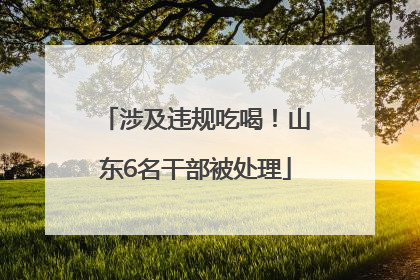 涉及违规吃喝！山东6名干部被处理