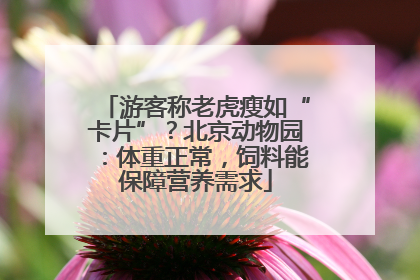 游客称老虎瘦如“卡片”？北京动物园：体重正常，饲料能保障营养需求