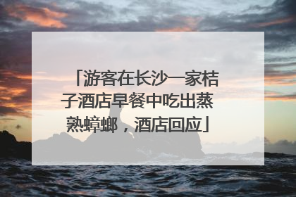 游客在长沙一家桔子酒店早餐中吃出蒸熟蟑螂，酒店回应